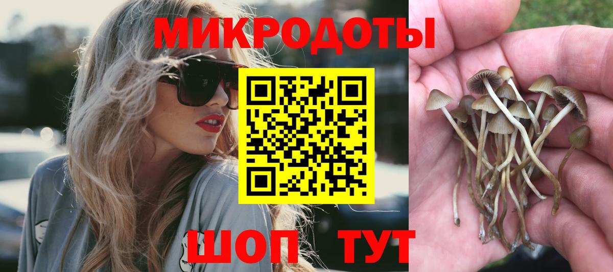 Псилоцибиновые грибы Cubensis  Галлюциногенные грибы Cubensis  Белово  Вход с VPN 