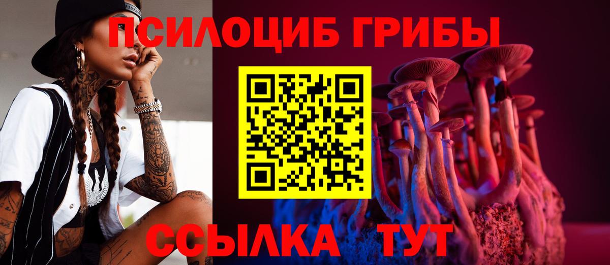 Псилоцибиновые грибы Psilocybe Белово